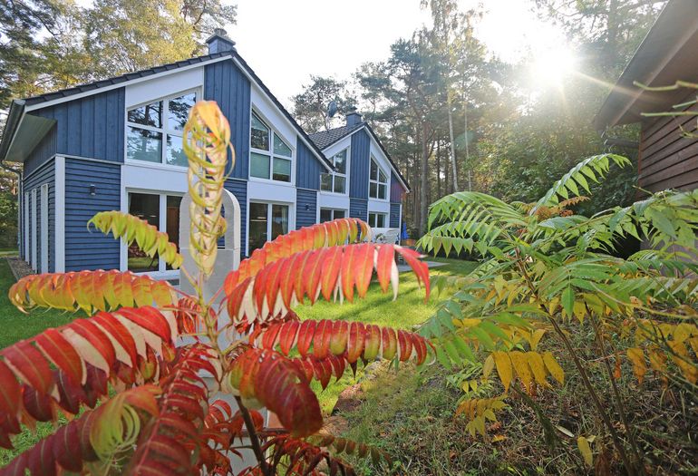 Ferienhaus Traumland