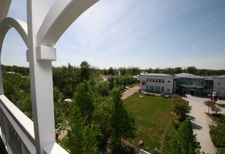 Ausblick Ausblick