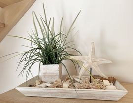 Haus Düne Whg. 01 mit Südterrasse