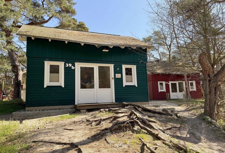 Strandhaus Dünenweg 39b - umgeben von Kiefern