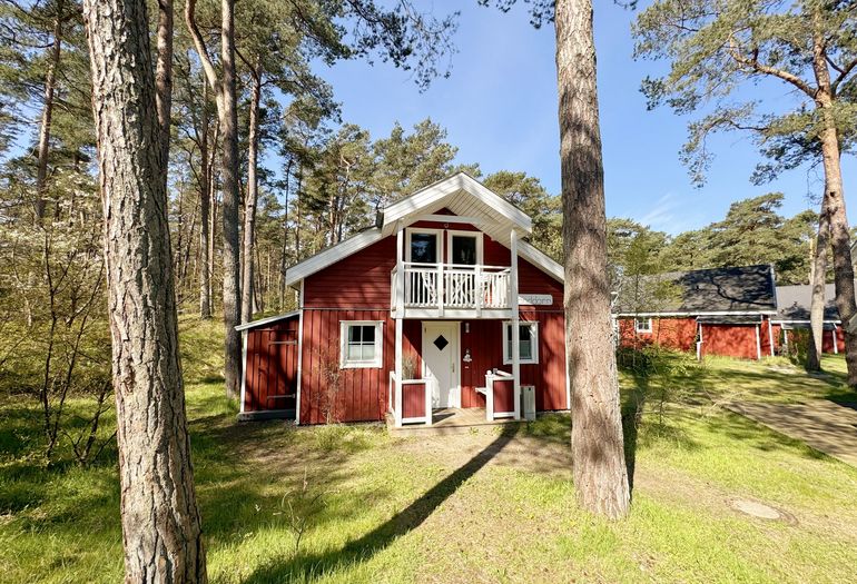 Ferienhaus Sanddorn Eingangsbereich Ferienhaus Sanddorn Eingangsbereich
