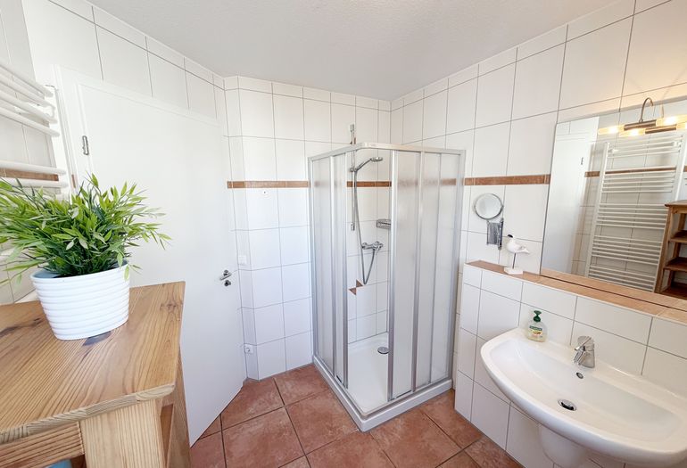 Tageslicht-Bad mit Dusche Tageslicht-Bad mit Dusche