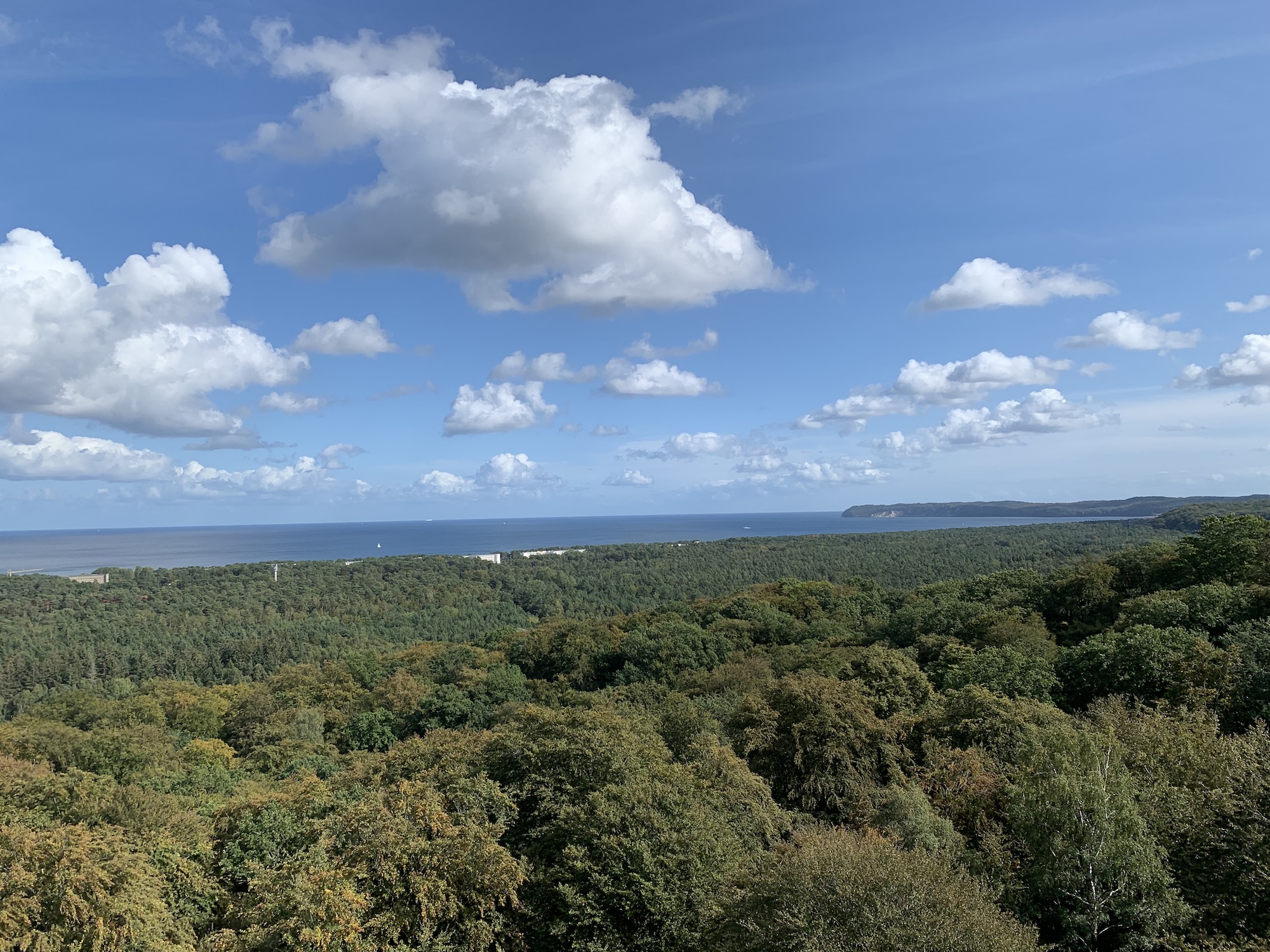 Baumwipfelpfad Rügen - Panoramablick